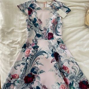 NWT Ted Baker Acanthus Scroll Skater Dress